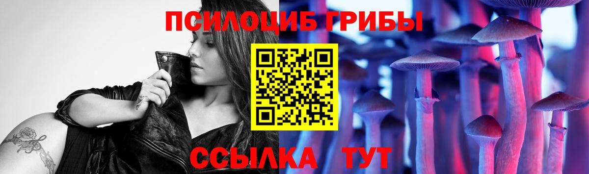 Курганинск  Псилоцибиновые грибы мухоморы  Вход с VPN 