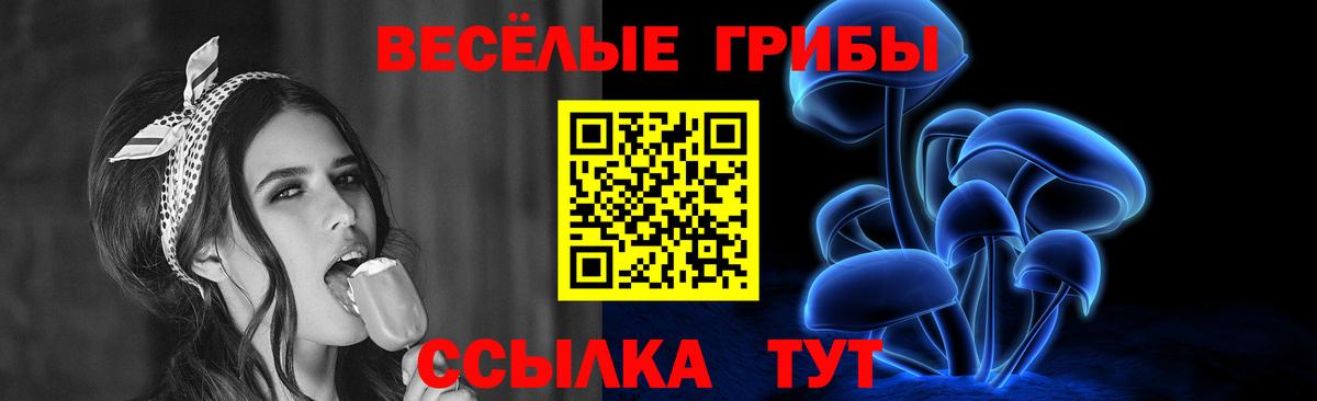 Галлюциногенные грибы Cubensis Курганинск